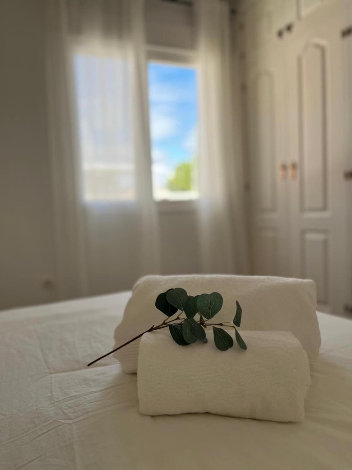 Malaga Prime Location - Stylish Apartment With Free Wifi, Free Parking, Steps From The Historic Center エクステリア 写真