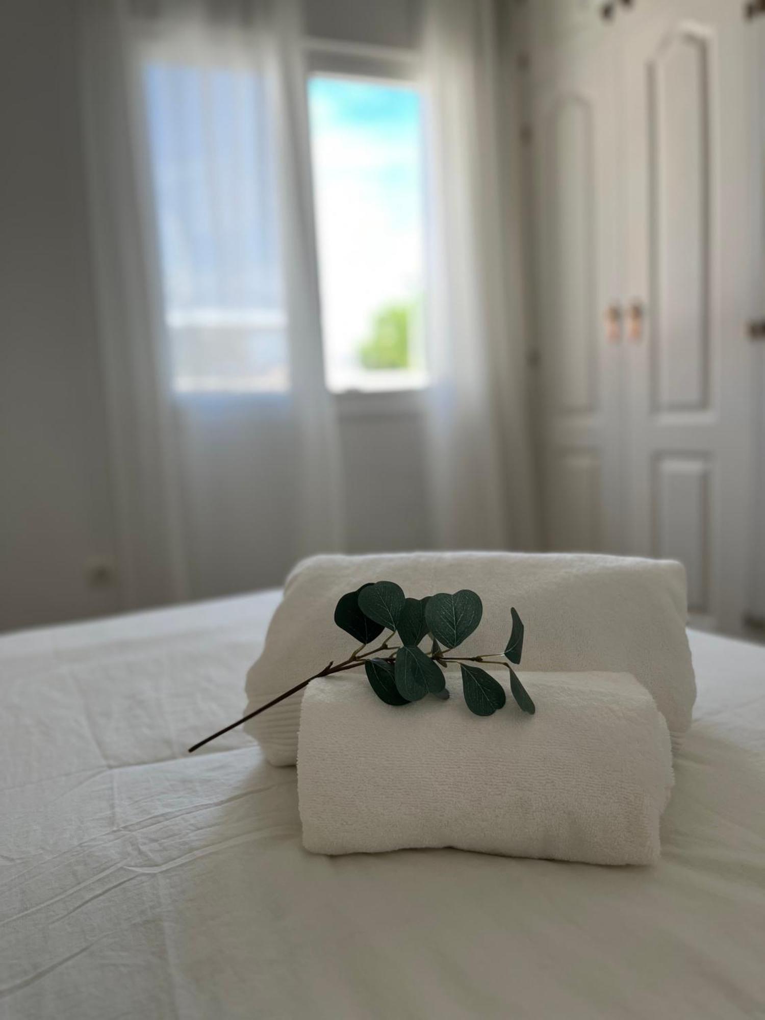Malaga Prime Location - Stylish Apartment With Free Wifi, Free Parking, Steps From The Historic Center エクステリア 写真
